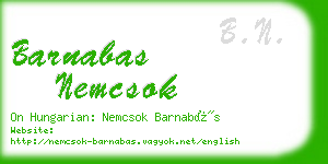 barnabas nemcsok business card